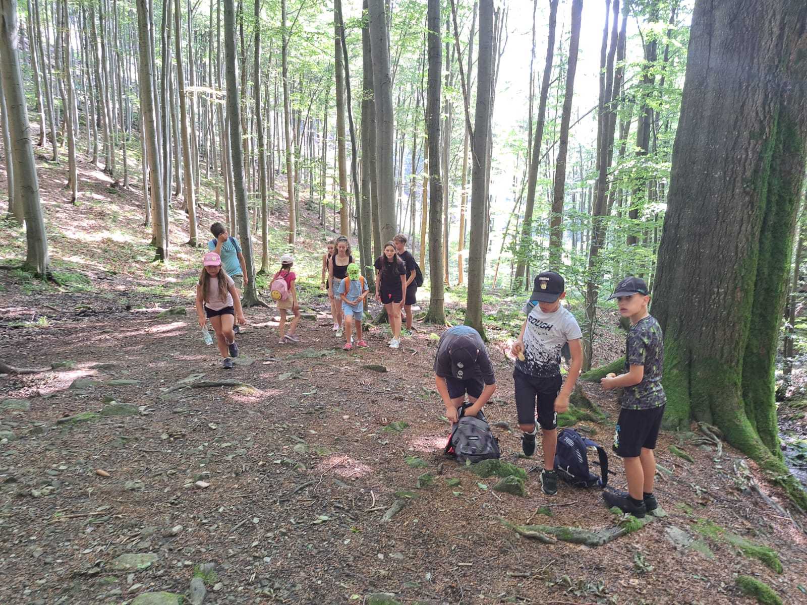 Příměstský basketbalový tábor v Jeseníku 2025