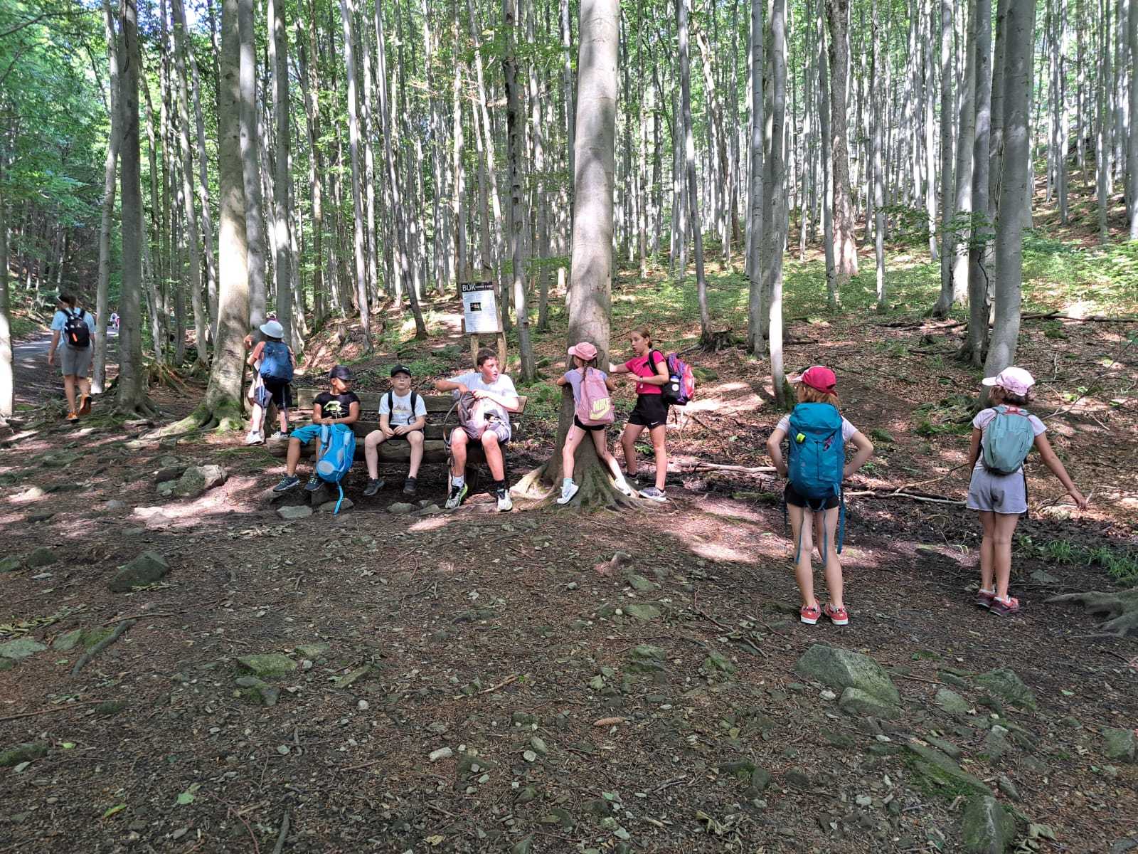 Příměstský basketbalový tábor v Jeseníku 2025